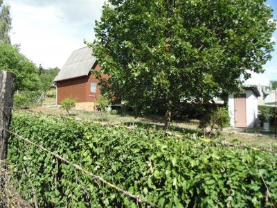 DomonyVölgy zártkert faházzal Eladó0