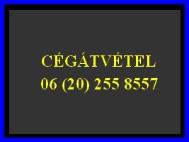 Tagikölcsön? Könyvelő Probléma? Köztartozás?0