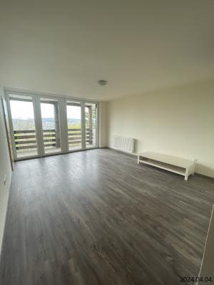 XII. ker. Svábhegy lakás kiadó0