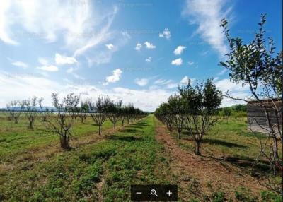 Eladó 8.2 Hektár mezőgazdasági terület Sződön.0