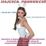 H�sv�ti nyuszi l�nyok rendelhet�ek orsz�gon bel�l- �s k�v�lre is!