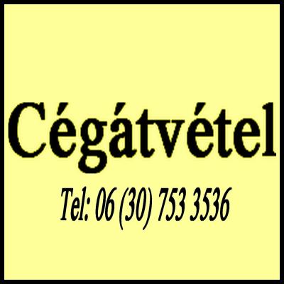 Cégátadás, Cégeladás, kft átvétel, cégátvétel tartozással.0