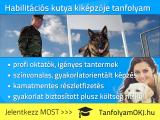 Habilitációs kutya kiképzője OKJ-s tanfolyam Budapesten