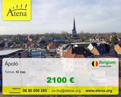 Ápolói munkalehetőség0