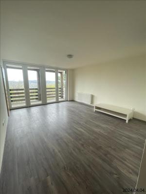 SZOBA KIADÓ Délbudán 11, 12.ker-ben0