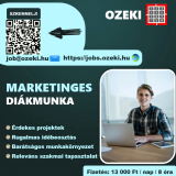 Junior online marketing asszisztens Diákmunka ősztől